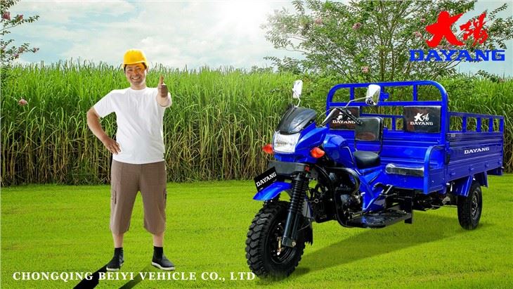 Iron Motorized Cargo Tricycle 250cc Three Wheeler motor
