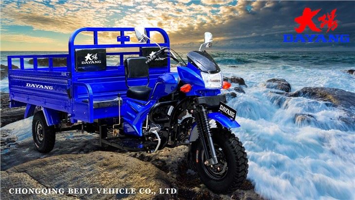 Iron Motorized Cargo Tricycle 250cc Three Wheeler heavy laod