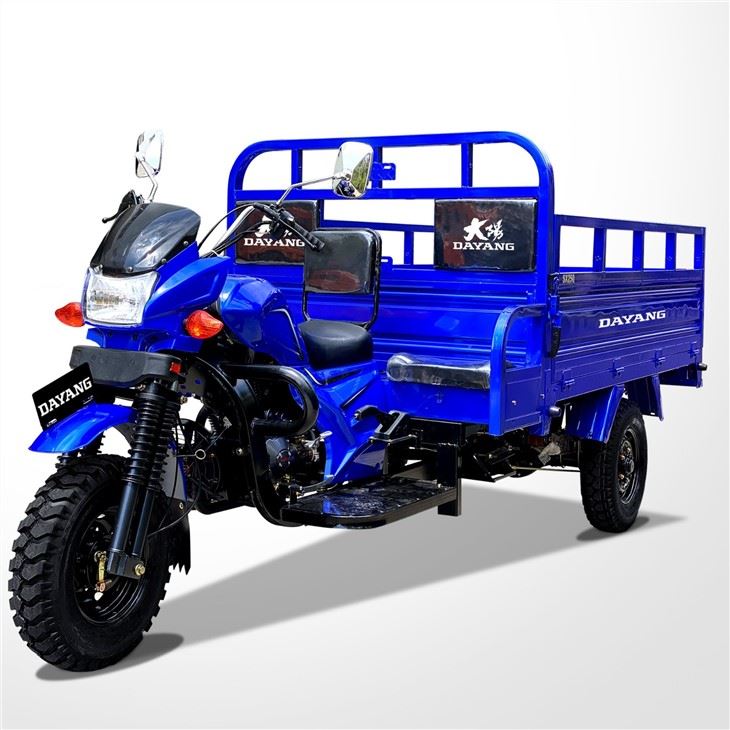 Iron Motorized Cargo Tricycle 250cc Three Wheeler