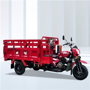 Farma trojkolesových motorových trojkoliek s objemom 320 cm3