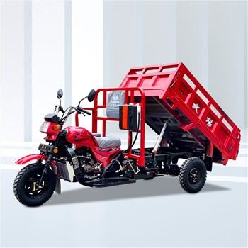 Moto Trois De Carga