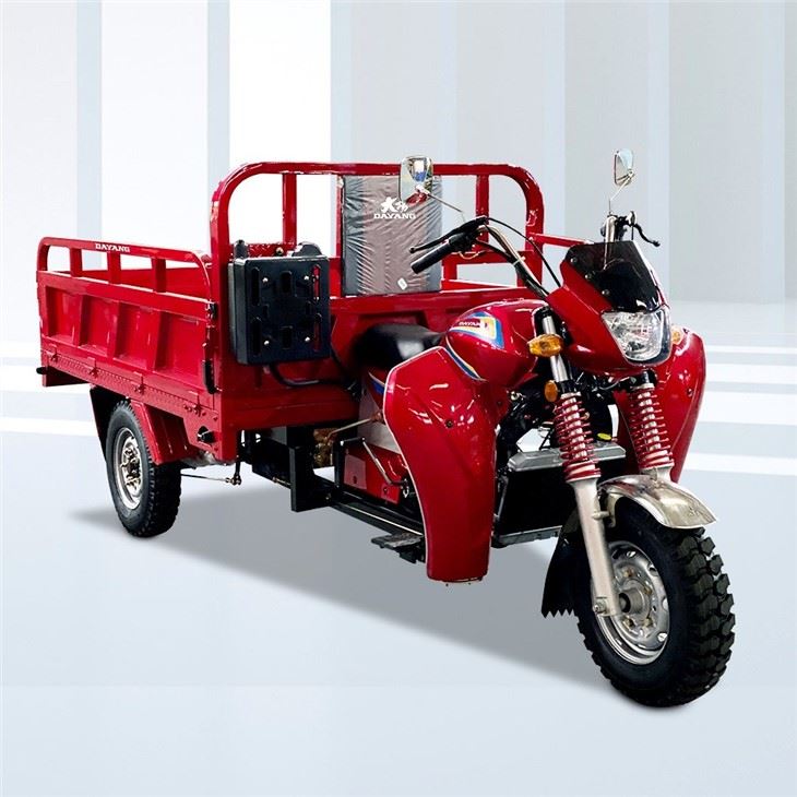 300cc Three Wheeler Cargo Motocar